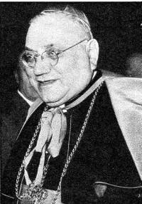 apCICOGNANI GAETANO